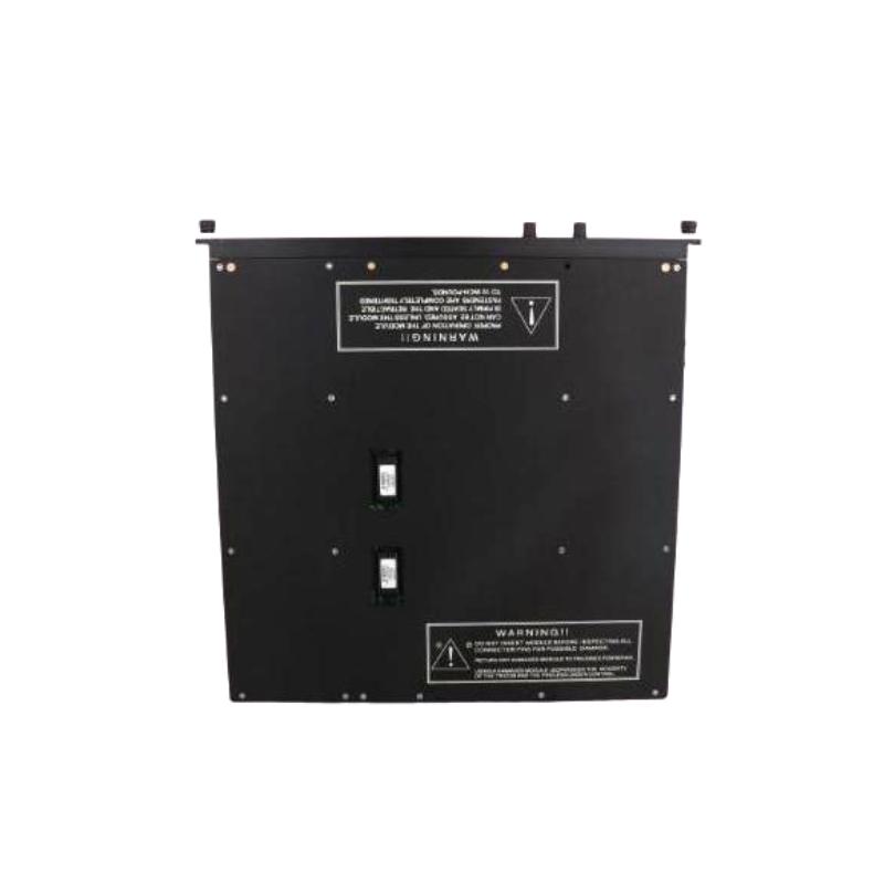 Triconex 4210  Remote Extender Module Trusted supplier Fast Shipping!