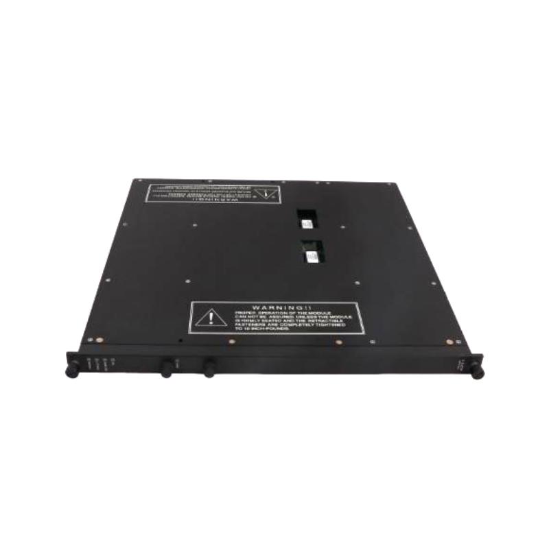 Triconex 4210  Remote Extender Module Trusted supplier Fast Shipping!