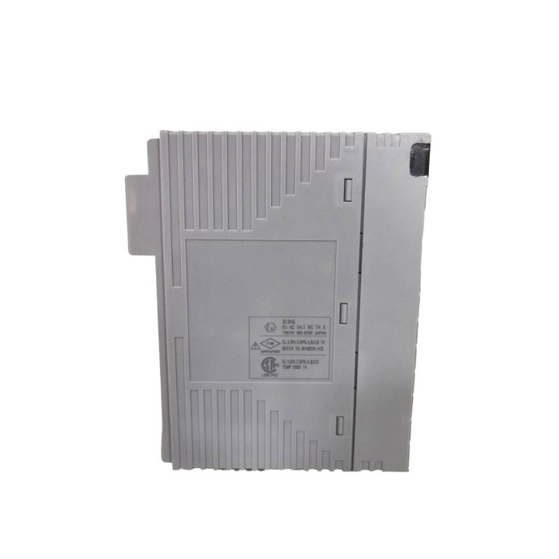Yokogawa AAI543-H00/A4S10 Analog Input Module Quality Assurance