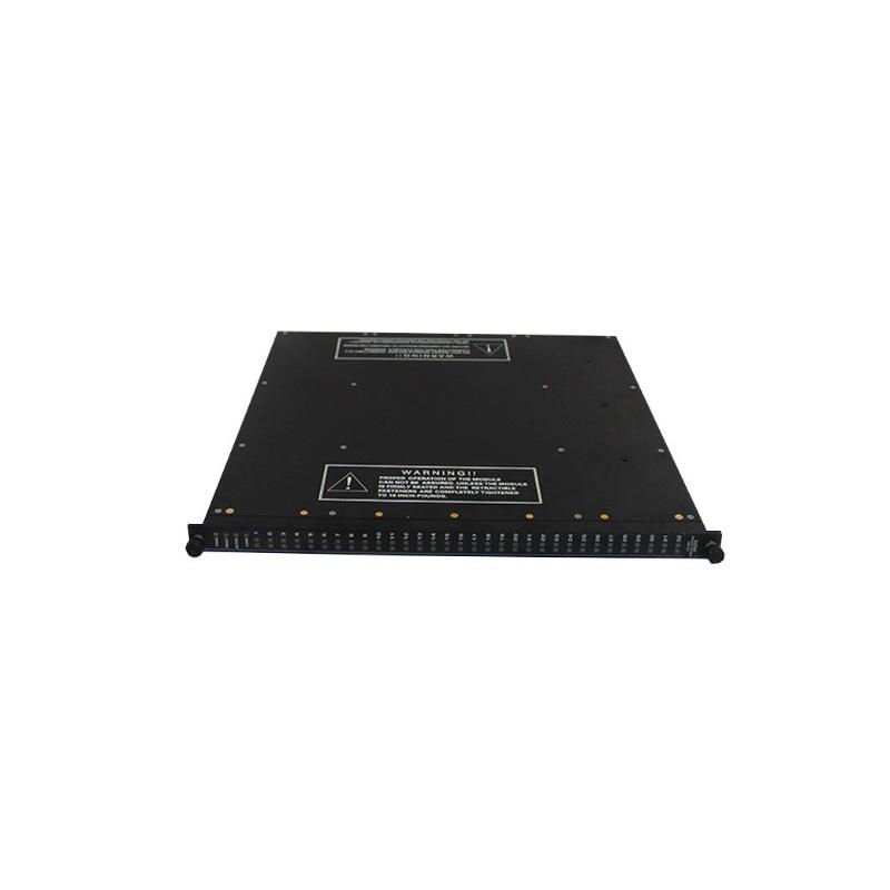 Triconex 3002 7400063-100  Power Supply Module Shelf life 1 year Fast Shipping!