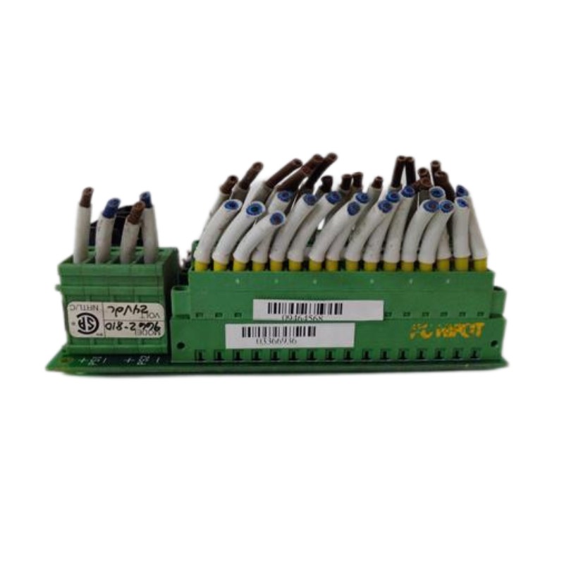 Triconex 9662-810 3000520-380 | 16-Point Digital Input Termination Panel 100% New 100% New