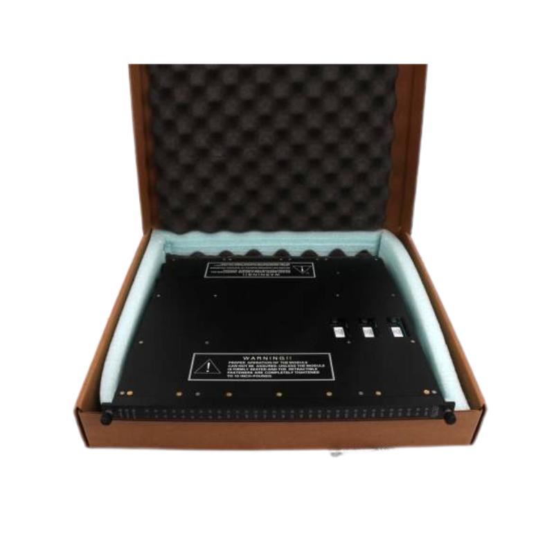 Triconex 3405E | Digital Output Module Rave reviews 100% New