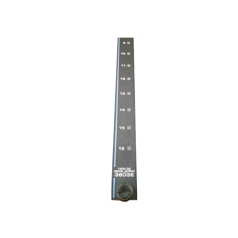 Triconex 3603E | Digital Output Module Recommended products 30-Day Returns！