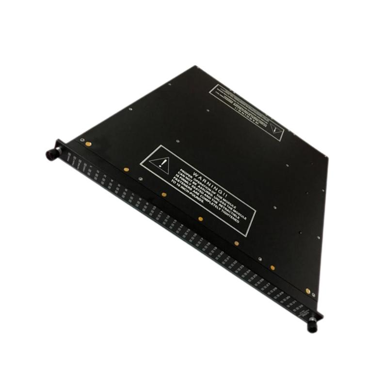 Triconex 3624 | Digital Output Module Efficient delivery New In Stock