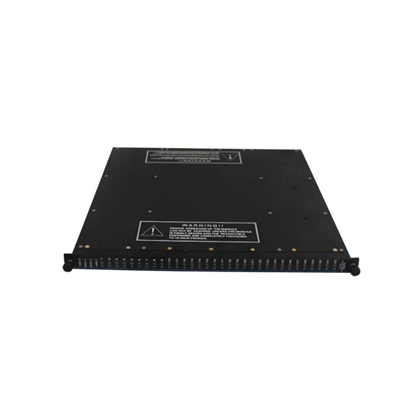 Triconex 3674 | Dual Digital Output Module Original Original
