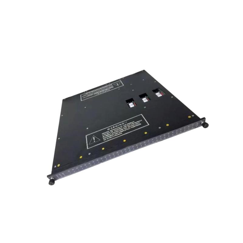 Triconex 3674 | Dual Digital Output Module Original Original