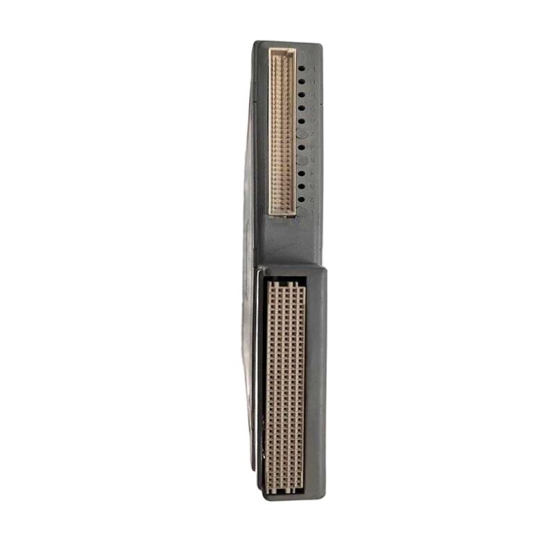 ICS Triplex T8461 | VDC Digital Output Module 100% New Original