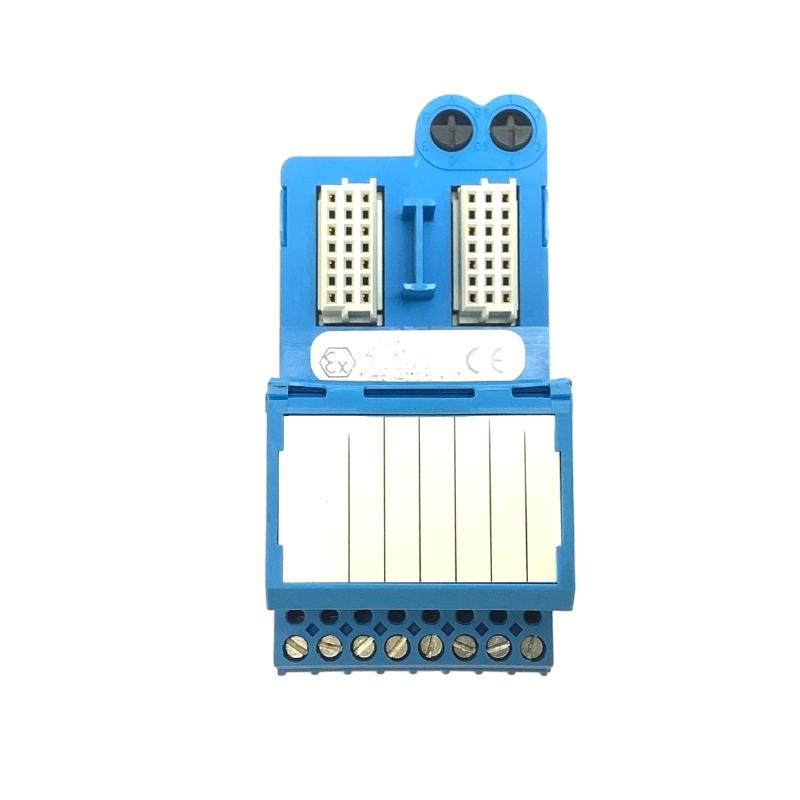 GE 8621-FT-IS | IS Field Terminal, Standard Type 12-Month Warranty